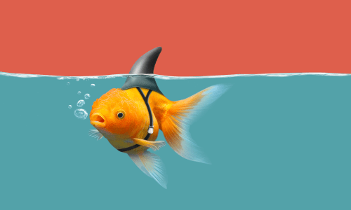 dangerous_fish