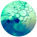 case-study-IS-dispersant case-study-IS-dispersant